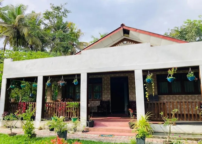 Mangroves Homestay